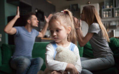 Understanding Child Custody Matters Part II: Custody Litigation